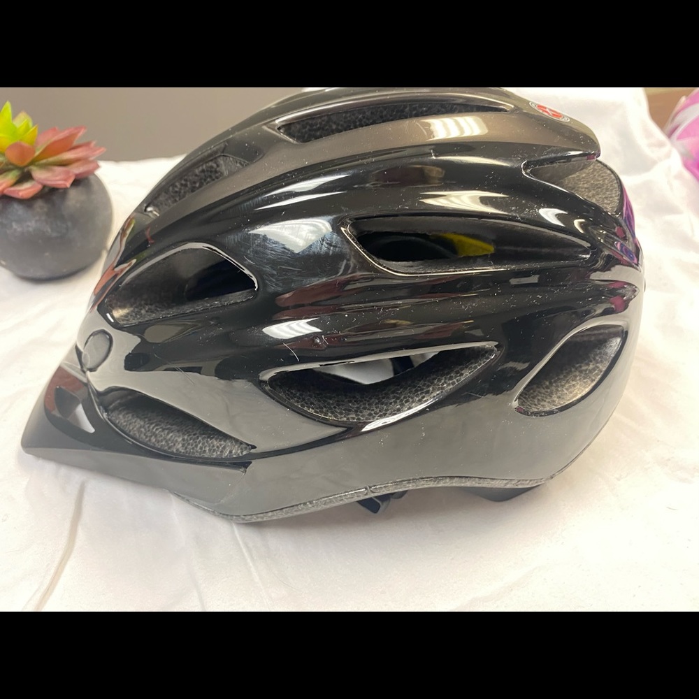 Schwinn Bike Helmet